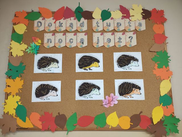 Dokąd tupta nocą jeż?