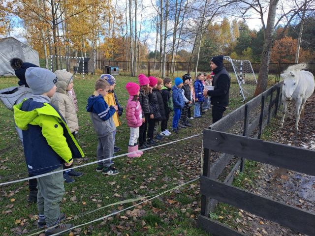 Pod koniec października uczniowie klasy Ia oraz oddziału przedszkolnego wybrali się na wycieczkę do gospodarstwa „Wieś.co” w Skarżysku. Na początku czekał na nich pyszny, słodki poczęstunek. Następnie, dzieci ruszyły na zwiedzanie zagrody, w której poznały różne zwierzęta. Mogły je karmić, obserwować z bliska, a także pogłaskać i pobawić się z mięciutkimi królikami, co sprawiło im ogromną radość. Następnie uczestniczyły w warsztatach piekarskich. 