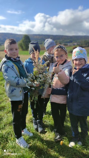 Uczniowie zbierają zioła na Wiśniowym Wzgórzu