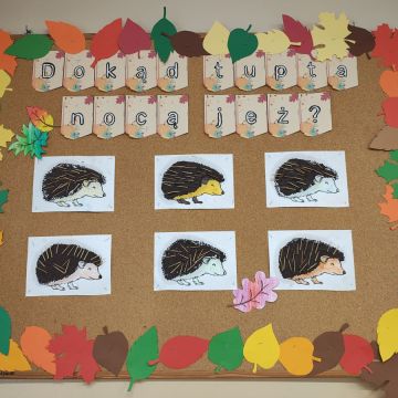 Dokąd tupta nocą jeż?